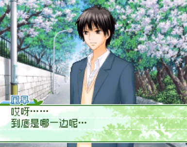 [好想告诉你：培育的思念][bg/翼梦和兔友联合汉化版][nds][百度云-基腐天堂