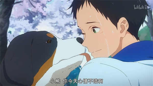 《弦音 -风舞高中弓道部》[日语中字][全13集＋OVA][2018][百度云]-基腐天堂