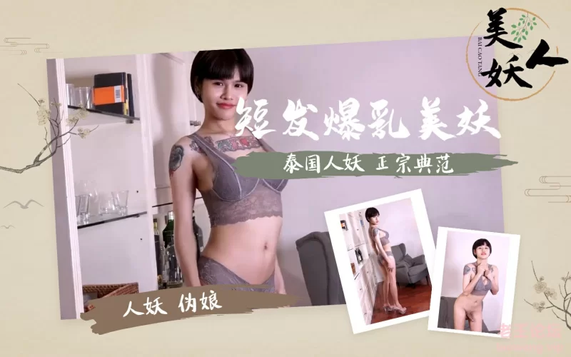 图片[2]-[十万人妖伪娘补全计划]⑤（国外版） 833-1112 [279v+18.4G][百度盘]-基腐天堂