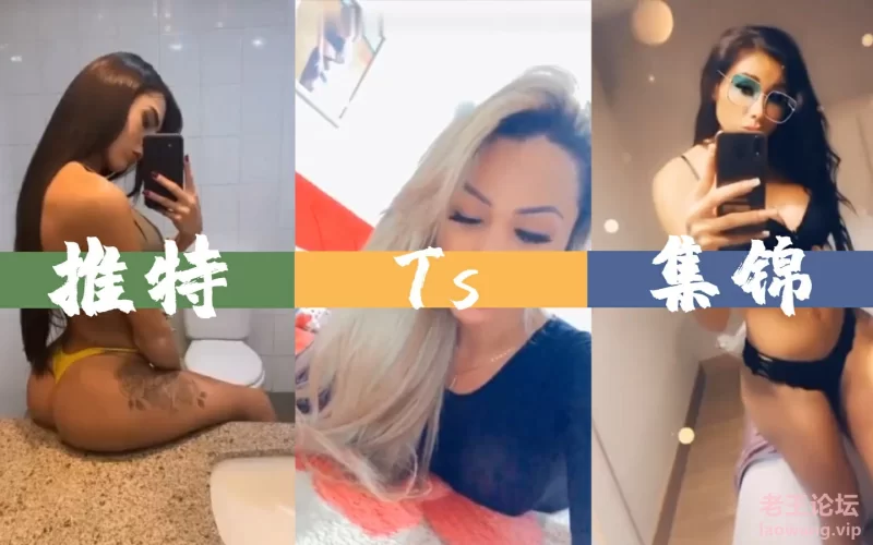 [十万人妖伪娘补全计划]⑥（国外版） 1113-1312 [199v+23.2G][百度盘] -基腐天堂