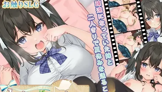 PC/安卓直装/动态 与妹妹共同度过的夏日 [2+700m][百度盘-基腐天堂