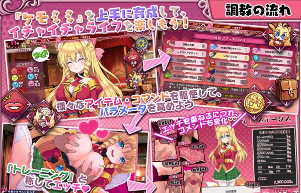 图片[2]-PC/纯爱/CV】兽耳训练~狂暴兽耳大小姐的调教试验~精翻+全CG [1+1.35G][百度盘]-基腐天堂
