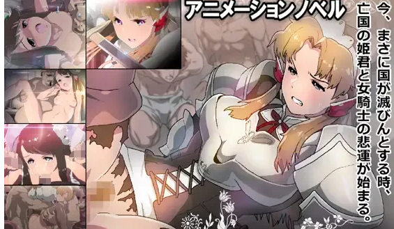 PC[ナイトホーク]亡国の乙女騎士 游戏本体+CG+提取动画 [9+1G][百度盘]-基腐天堂