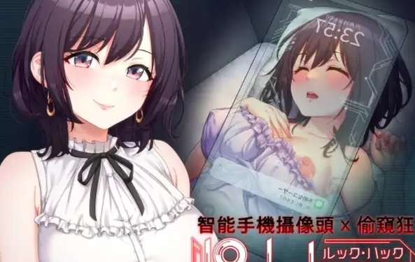  PC【探索SLG/偷窥盗摄/动态】LOOK.hac -外观·黑客V2.2 官方中文 [1+2.8G][百度盘] -基腐天堂