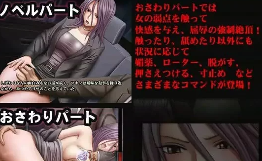 图片[3]-[PC/安卓][Crimson/系列1/凌辱/调教/连续高潮/恶堕/汉化/Flash]Crimson Girls 汉化 [2games+460m][百度盘]-基腐天堂
